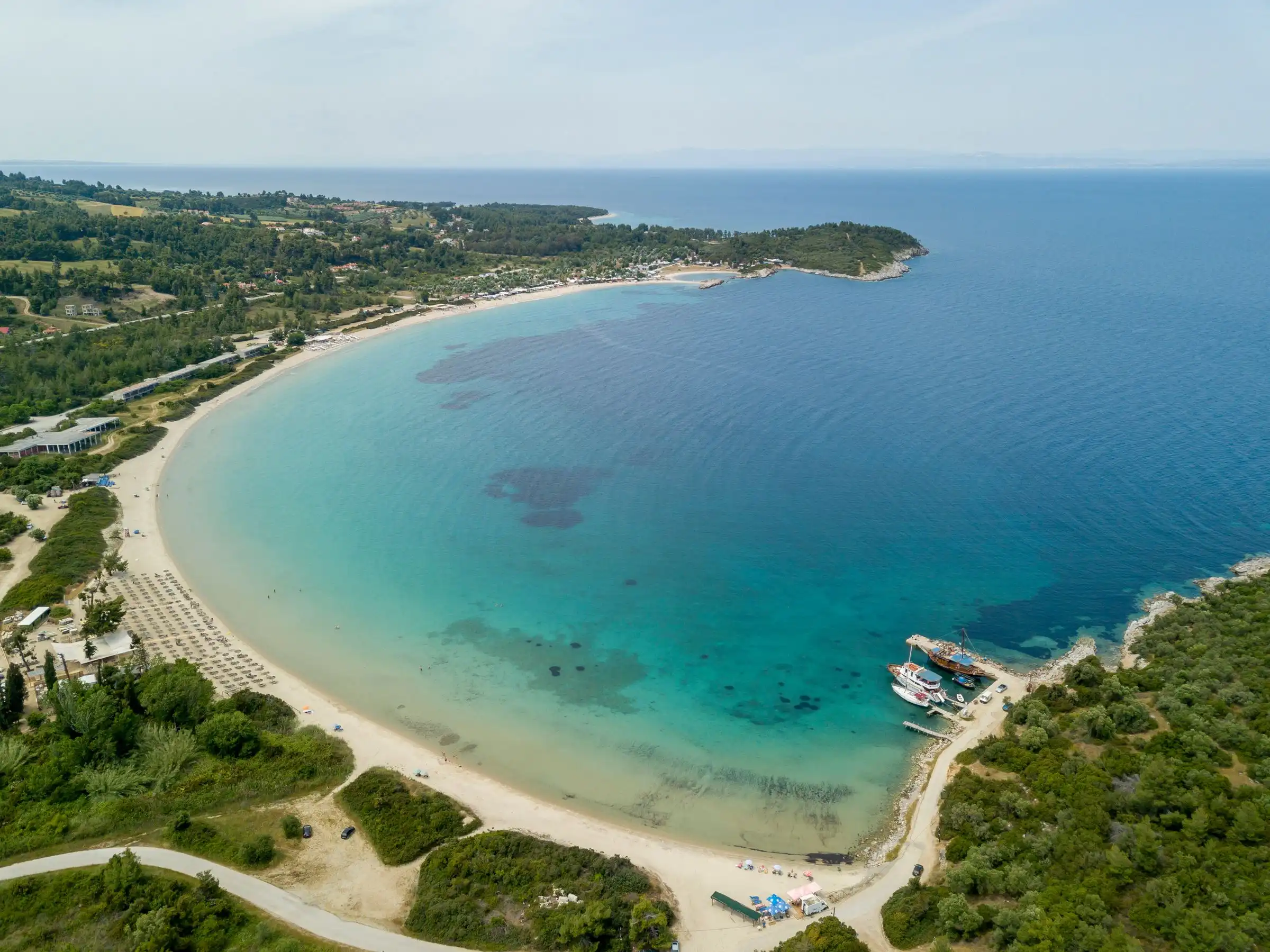 Παλιούρι